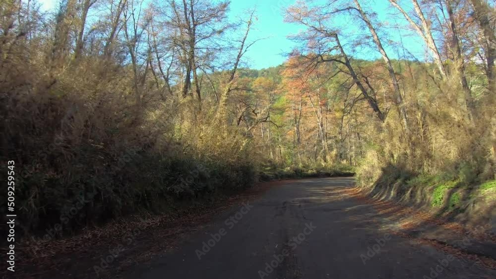 Traveling in the woods. Point of view of a car driving along the dirtr road across the forest in autumn. Traveling in the woods. Point of view of a car driving along the dirtr road across the forest in autumn.