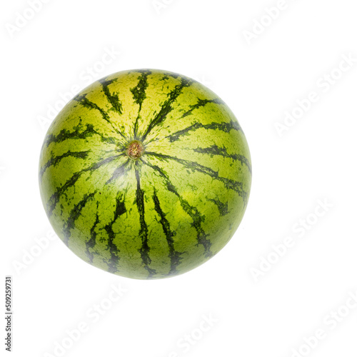 Organic ripe fresh watermelon - Citrullus lanatus photo