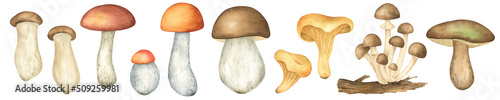 Watercolor fall mushrooms clipart. Autumn forest mushroom. Orange, brown, yellow color. Botanical illustration. Isolated. For card, scrapbooking, home decor