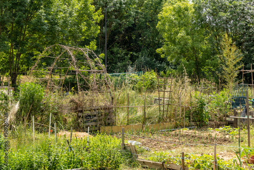 Vegetable garden at the beginning of June  wooden arches and varied vegetation  some plants maturing others abounding