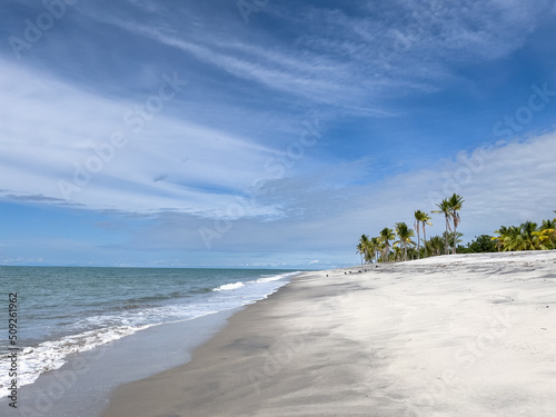 beautiful beach with coconut palm tree in panama