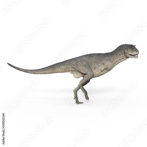 3d-illustration of an isolated dinosaur carnotaurus © Ralf Kraft