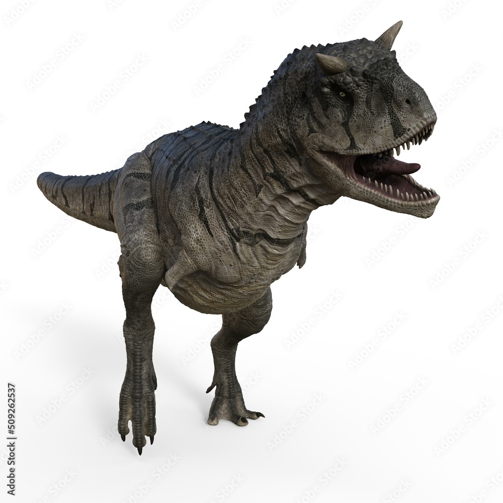 3d-illustration of an isolated dinosaur carnotaurus 3d-illustration of an isolated dinosaur carnotaurus