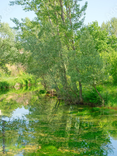 Source of the river Cetina near Sinj in Croatia