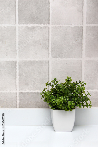 White pots with green plants on a white background with gray squares as a minimalist desktop or kitchen background