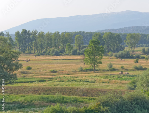 Picturesque landscape in Sinj field