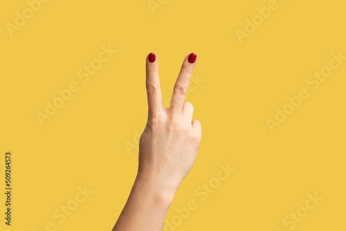 Profile side view closeup of woman hand showing victory, peace sign or number 2 with fingers. Indoor studio shot isolated on yellow background. photo