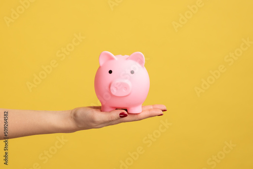 Closeup profile shot of woman hand holding pink piggy bank, investment, saving money, currency, deposit. Indoor studio shot isolated on yellow background.