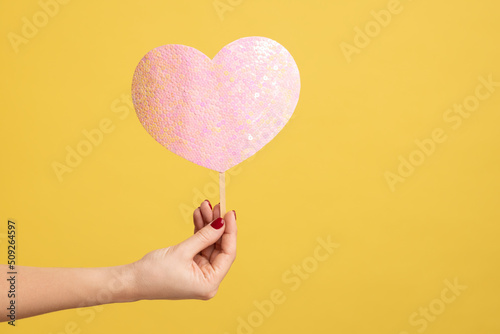 Profile side view closeup of woman hand holding heart pink love stick, showing romantic feelings. Indoor studio shot isolated on yellow background.