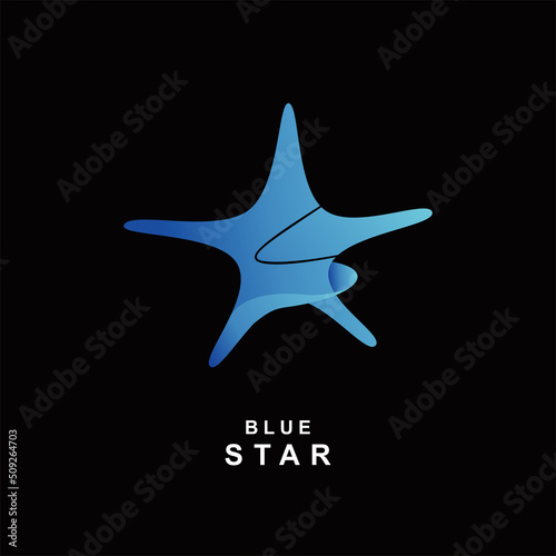 Star logo with abstract concept in colorful edition. 