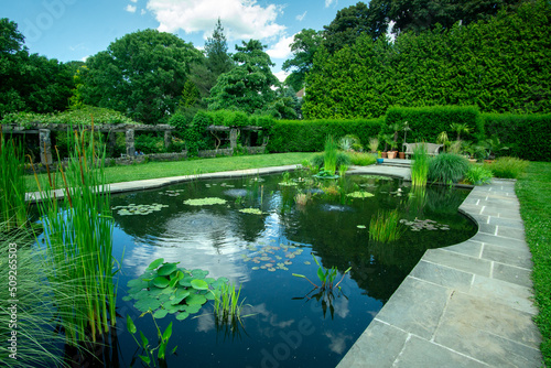 Canvas Print Bronx, NY - USA - June 4, 2022 a view of the Aquatic Garden at Wave Hill