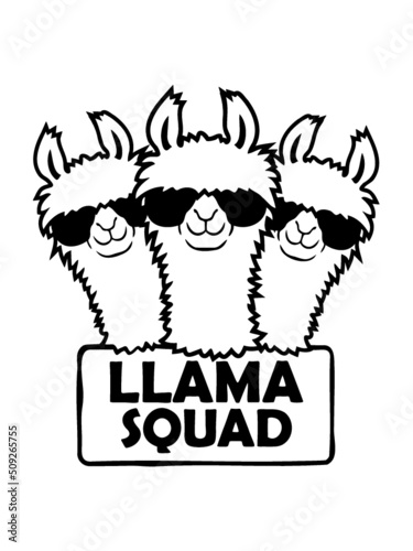 Team Design Llama Squad 