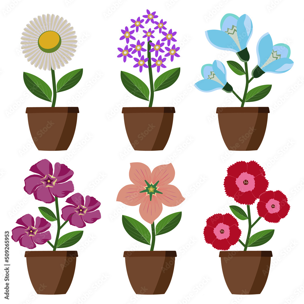 Bright cartoon simple flowers in pots. Flat style, vector illustration.