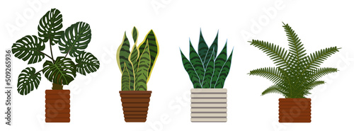 Set of monstera, fern, succulent house  plants in pots. Vector illustration.