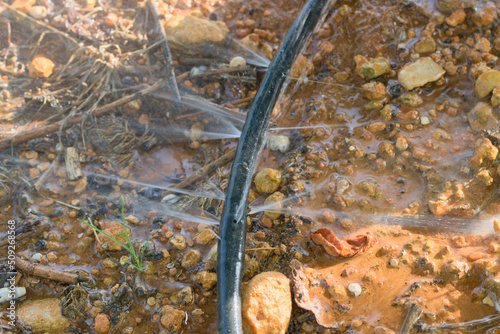 Close-up of a drip irrigation rubber that has multiple perforations