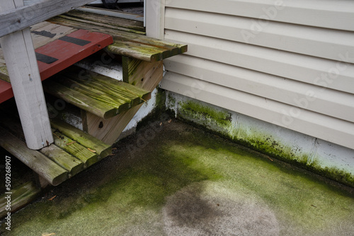 patio and steps are covered with green algae and dirt