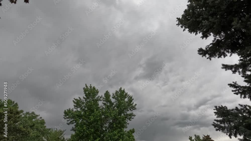 time lapse of clouds passing through the trees
