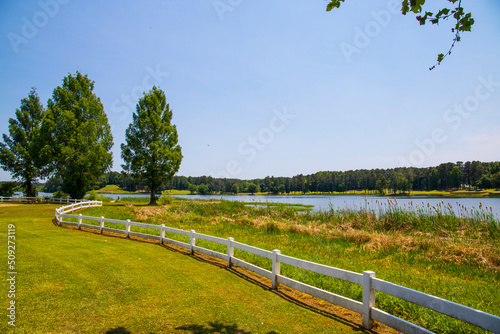 a gorgeous summer landscape at Lake Acworth with rippling blue lake water surrounded by lush green grass and trees with a white wooden fence and a gorgeous clear blue sky at Cauble Park in Acworth photo