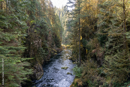Capilano River Regional Park. North Vancouver, BC, Canada.