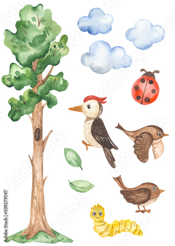 Fototapeta Naklejka Na Ścianę i Meble -  Watercolor clipart with a tall tree, woodpecker, sparrow, clouds, ladybug, caterpillar, leaves to create a children's stadiometer
