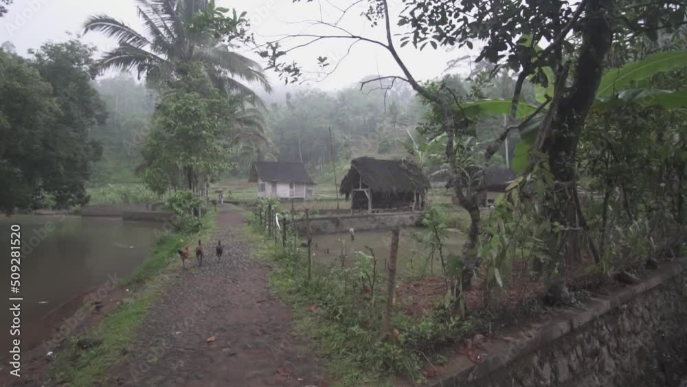 Kampung Naga, Indonesia - Traditional Houses, Beautiful Natural Landscape, Lush Green Rice Fields