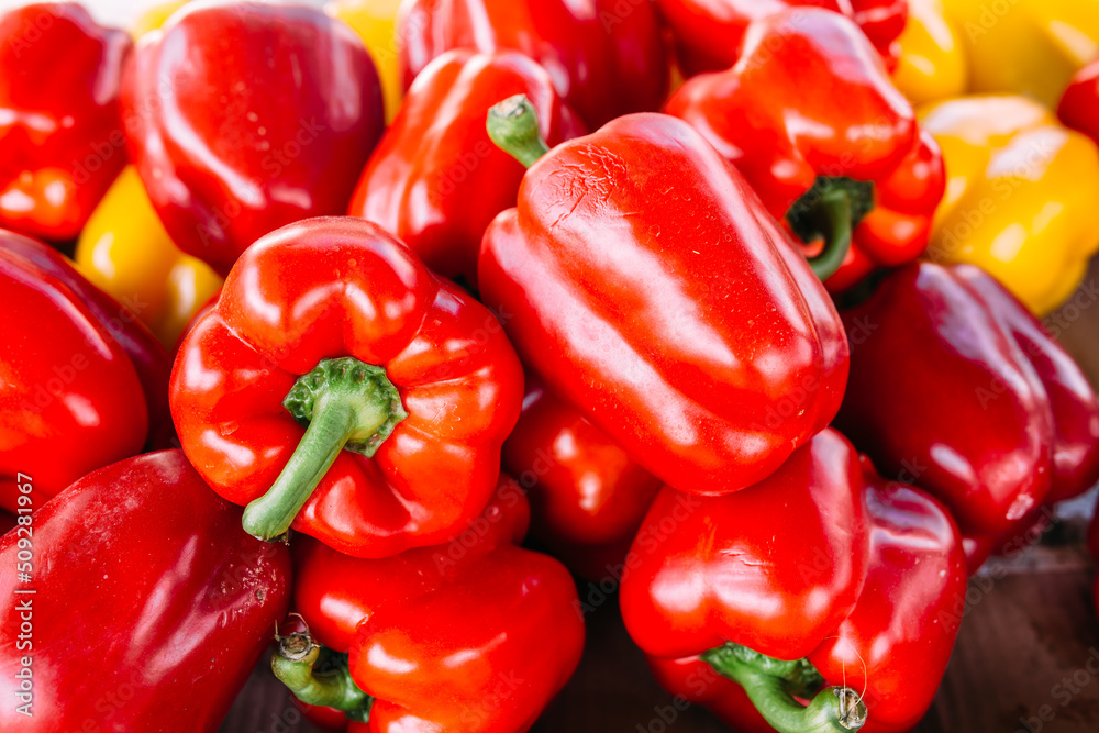 Lots of fresh bell peppers at the farmers market counter