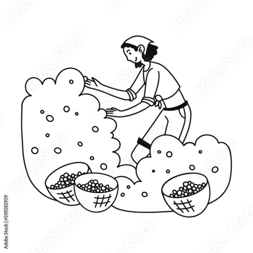 Linear hand drawing. Woman gathering cherries in garden. Gardener, harvest, fruit flat vector illustration. Orchard, organic food, agriculture concept for banner