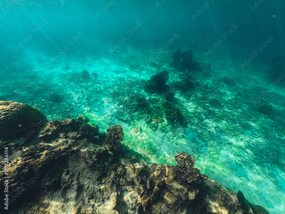 Obraz premium Underwater at the beach on the island