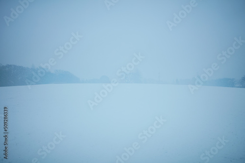 雪のイメージ　雪の日　記憶の雪　静かなイメージ 魔法　雪の魔法 © Shinji