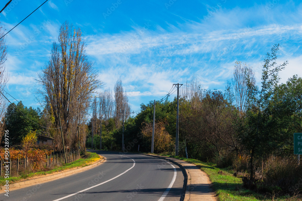 Fototapeta premium Calle amplia sin vehículos en el campo rural con arboles de otoño y cielo con leves nubes dispersas