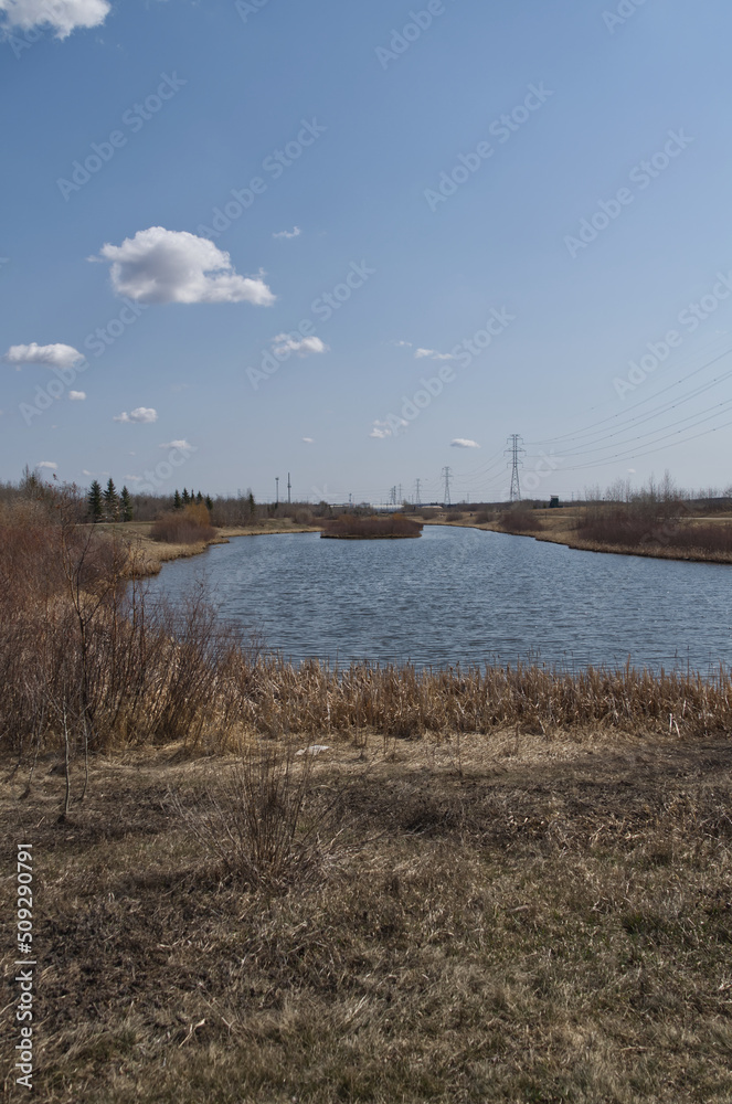 Pylypow Wetlands on a Sunny Spring Day