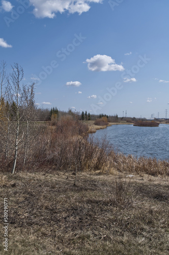 Pylypow Wetlands on a Sunny Spring Day