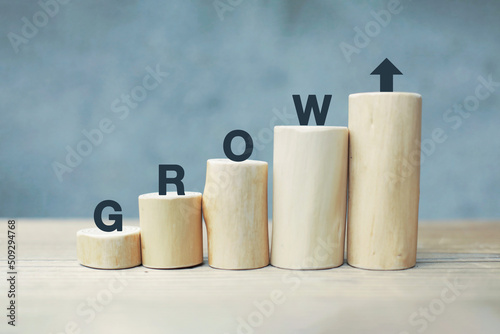 graph of success. money concept. word wood type.