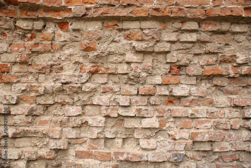 Obraz premium Brick wall.