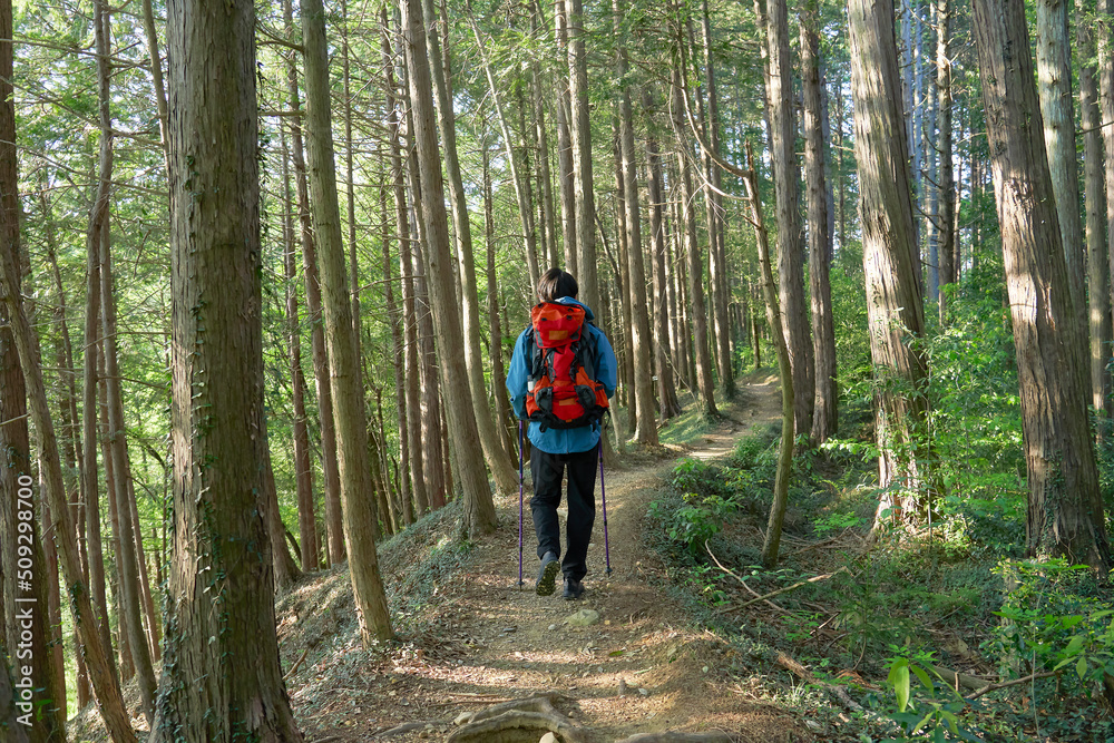 山歩きする男性の後ろ姿