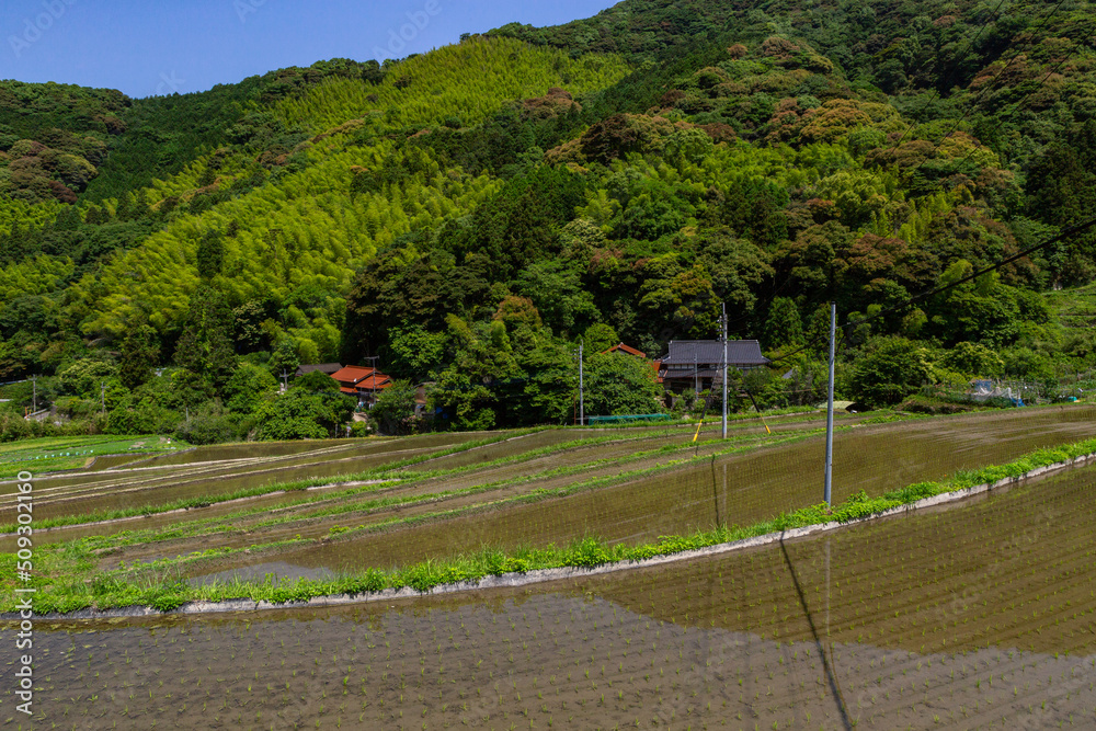 Obraz premium 井手浦の棚田の風景 北九州市小倉南区
