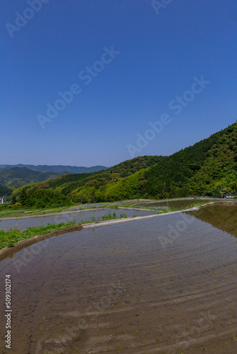井手浦の棚田の風景 北九州市小倉南区
