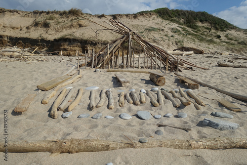 Land art sur la plage avec des bois flottés échoués photo