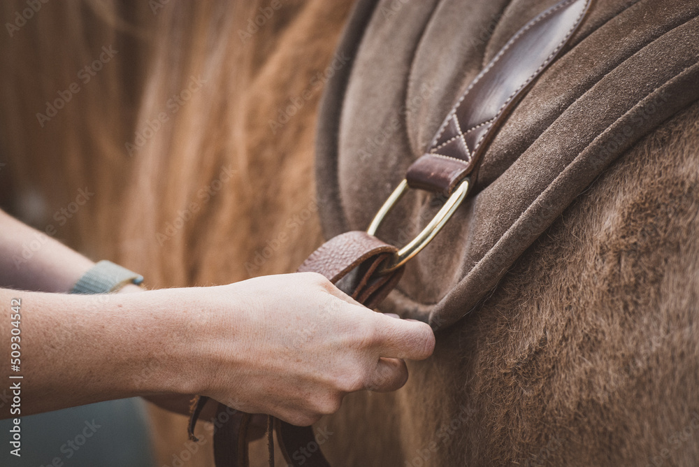 Obraz premium Sattelpad / Knoten