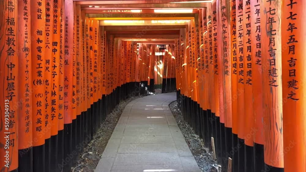 The empty spiritual path of torii gates in Fushimi Inari Taisha in Kyoto, Japan.