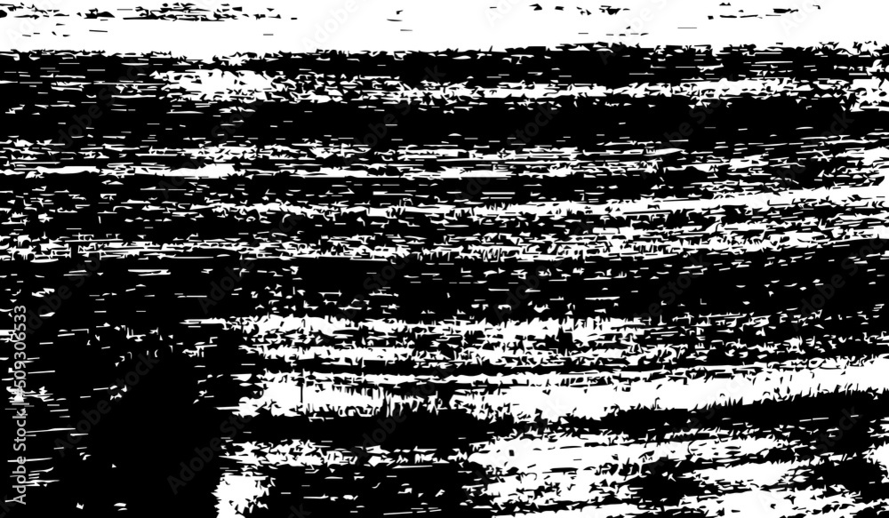 Fototapeta premium Black-White abstract texture , vector background illustration