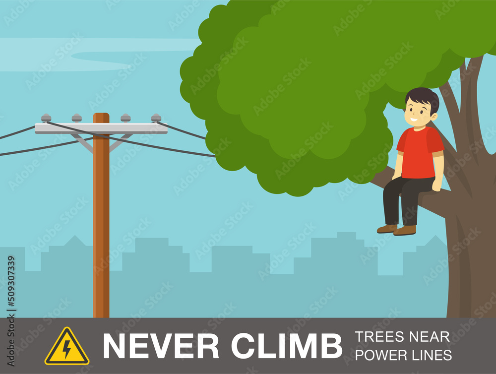 Electrical Safety Rule. Happy Male Kid Sits On A Branch Of Tree 