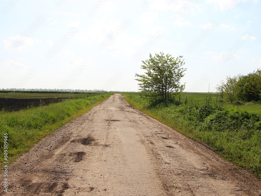 Dirt road through agricultural fields against the background of electrical lines