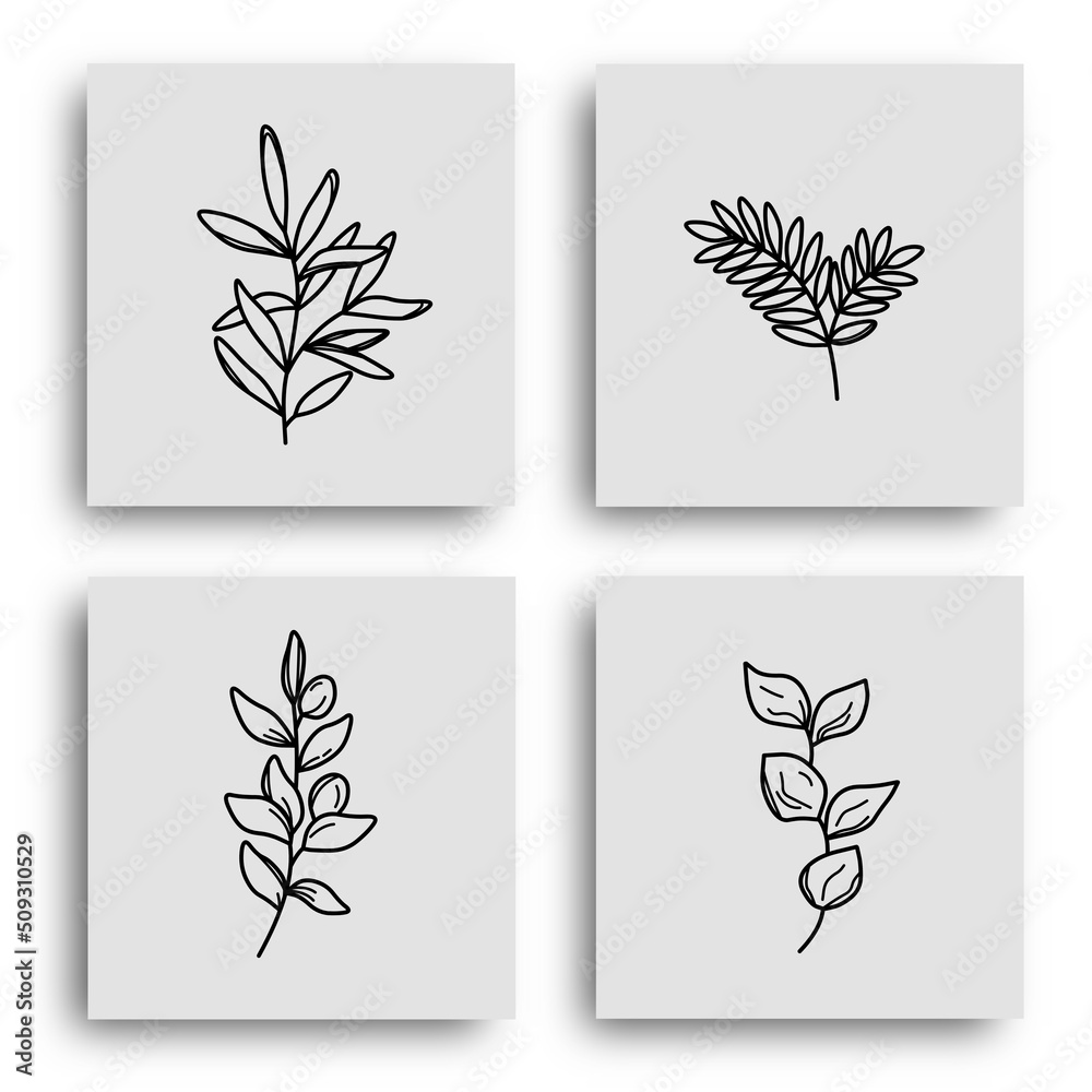 leaf botanical icon illustration design isolated on white backgroun