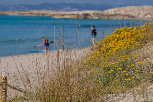 Ses Salines d’Eivissa i Formentera Natural Park, Illetes beach, Formentera, Pitiusas Islands, Balearic Community, Spain