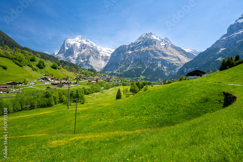 Obraz na płótnie alpine meadow with Alps mountains in Grindelwald village in Switzerland w salonie