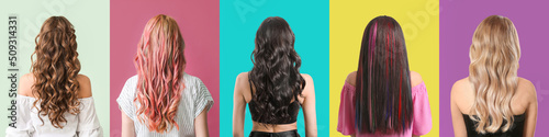 Fotografija Young women with beautiful dyed hair on colorful background, back view