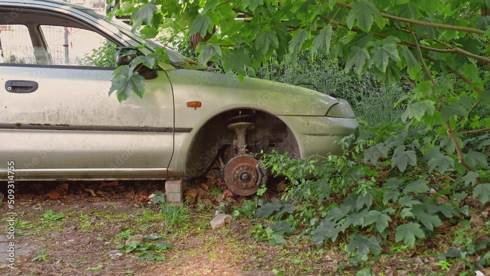 Car Wreck with No Wheels Left on Bricks Abandoned in Junk Yard Bushes