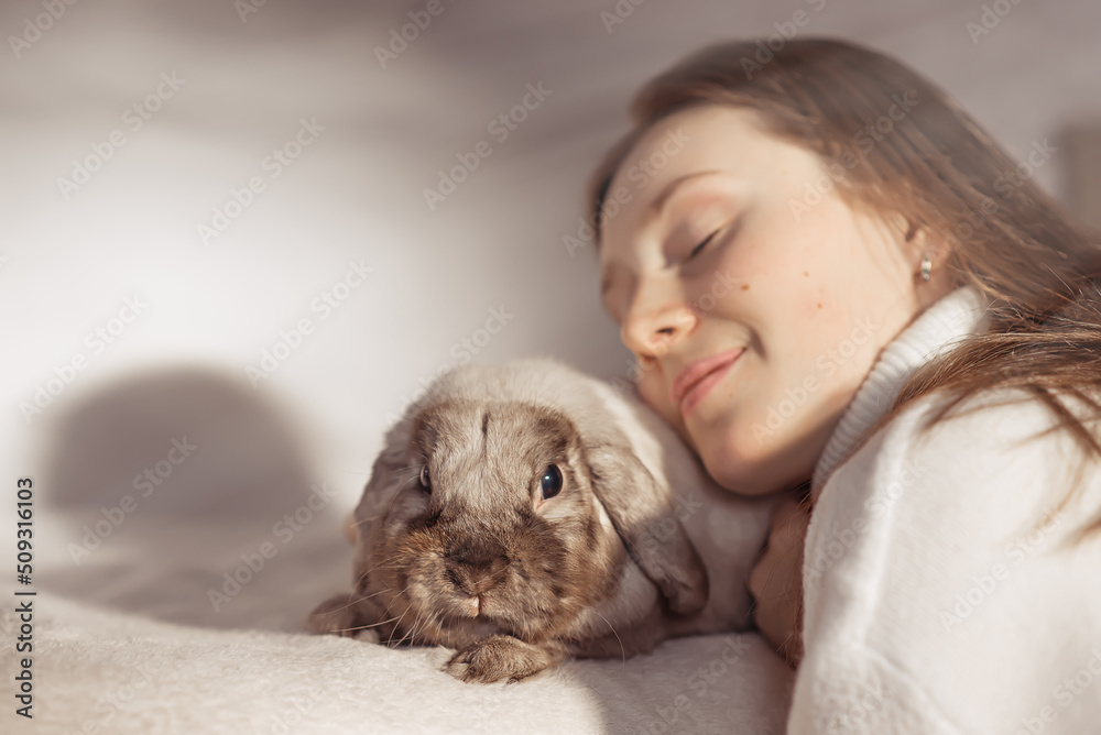 Girl hugs a cute rabbit at home.a girl with a rabbit, bunny pet. Girl hugs a cute rabbit at home.a girl with a rabbit, bunny pet.