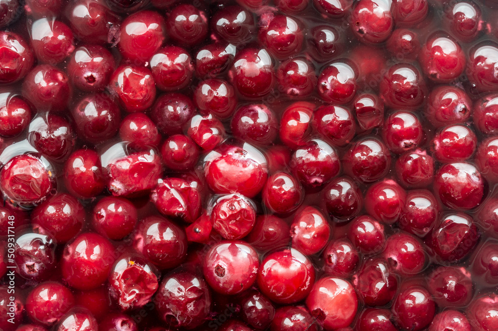 the texture of cranberries in water. preparation of berry drinks the texture of cranberries in water. preparation of berry drinks